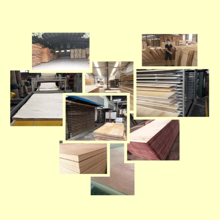 product-750-750