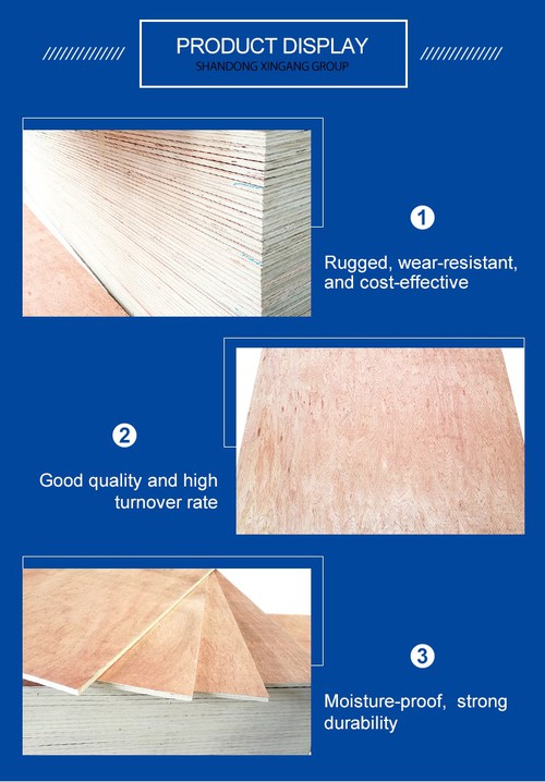 photobank 8 photobank 8