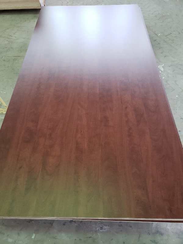 Door Skin Plywood Interior Decoration/Renovation