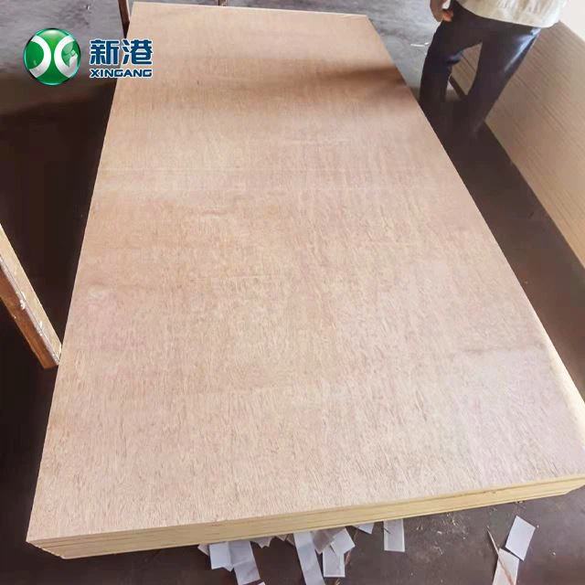 Birch Plywood Furniture Commercial Plywood Packing Plywood 13/15/18/20/21/22mm