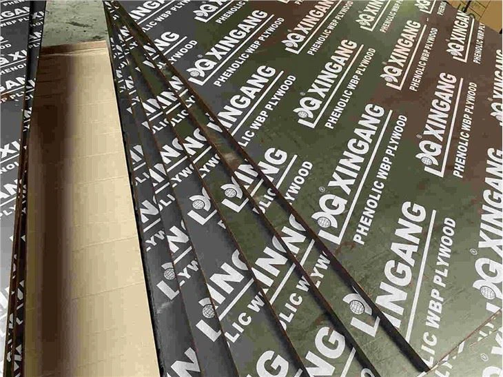 Poplar Film Faced Plywood For Construction