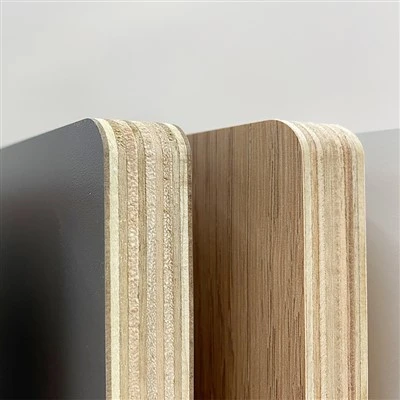 Biomimetic Marine Plywood