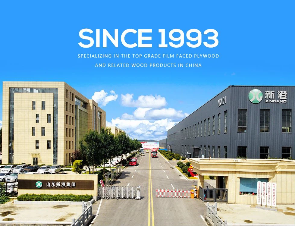 Шандонг  Xingang  Група