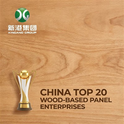 Триумфален успех! Xingang Group печели две награди Топ 10 на марките